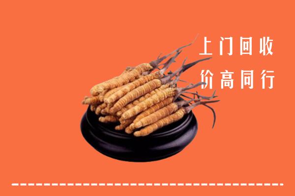 高价求购：绵阳市安州回收散虫草